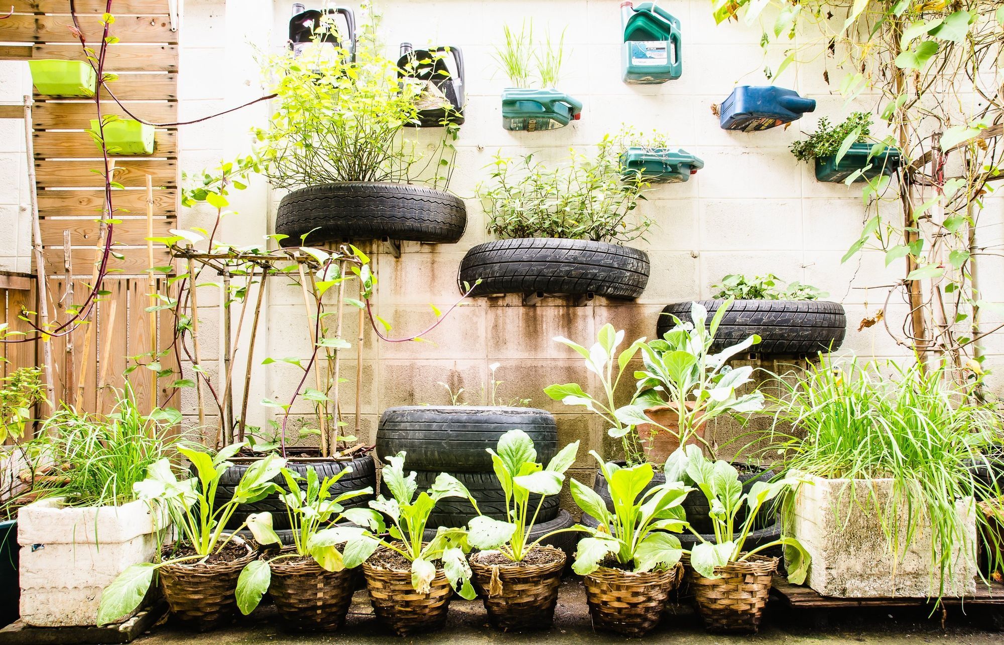 How to Plant in Small Places: Urban Gardening Tips